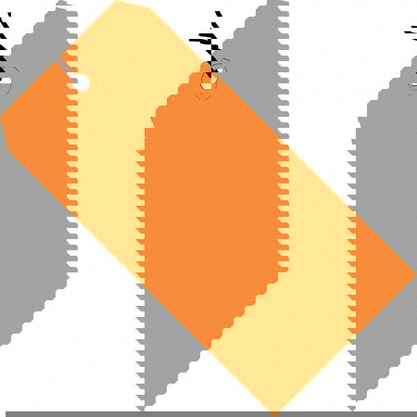 Blank Tag: 2-3/4'' High, Orange, Synthetic Paper